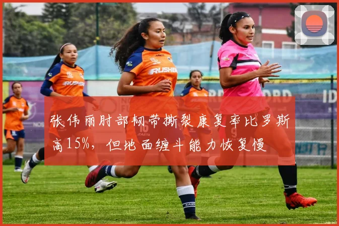 张伟丽肘部韧带撕裂康复率比罗斯高15%,但地面缠斗能力恢复慢